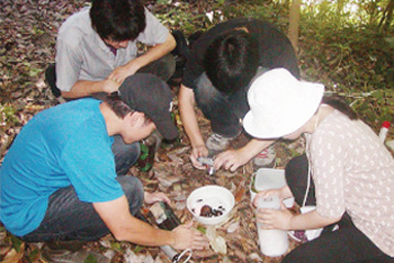 What can you study at the Comprehensive Science of the Biological Environment Course?