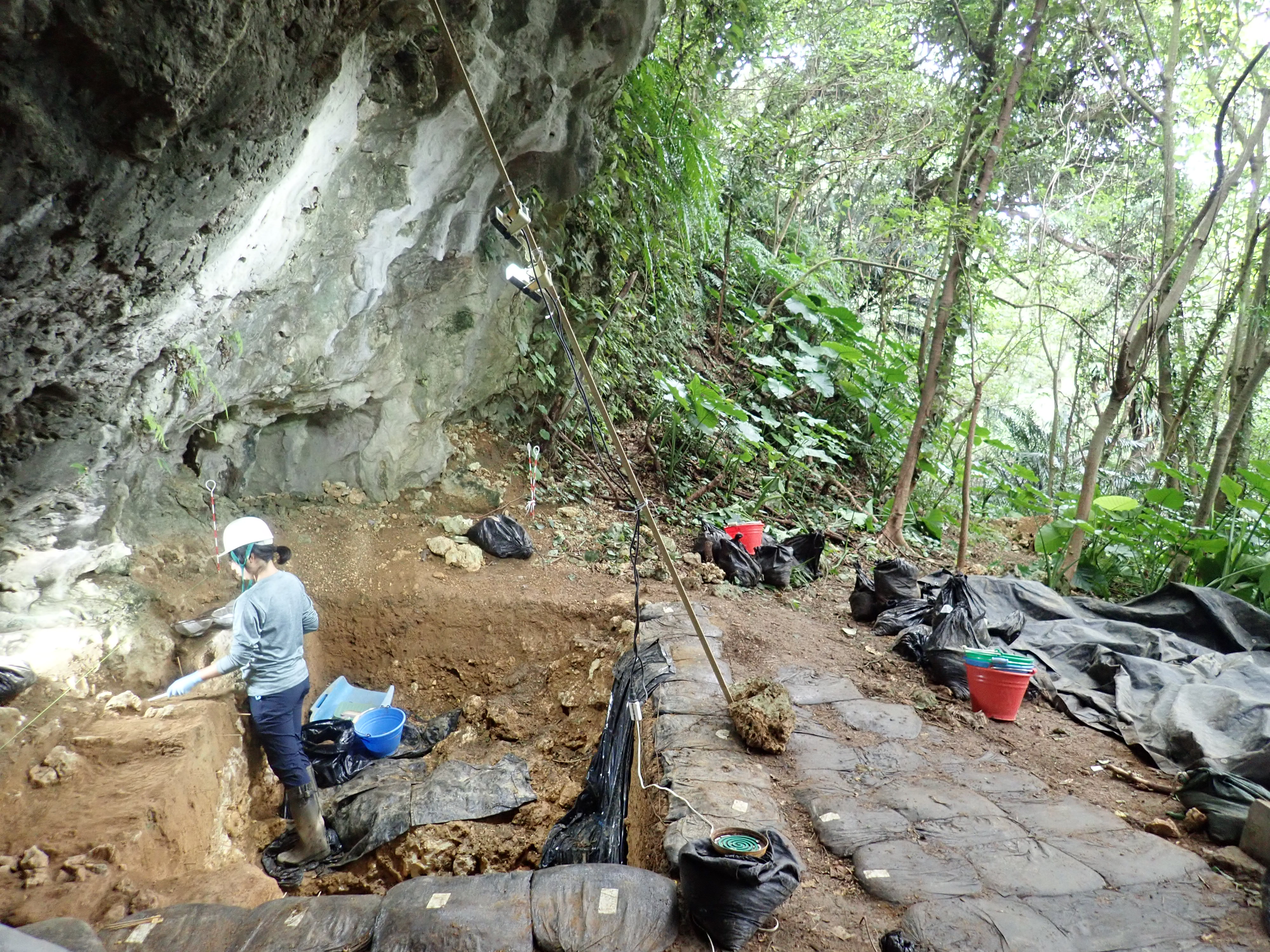 白地図に色を塗る 澤藤りかい