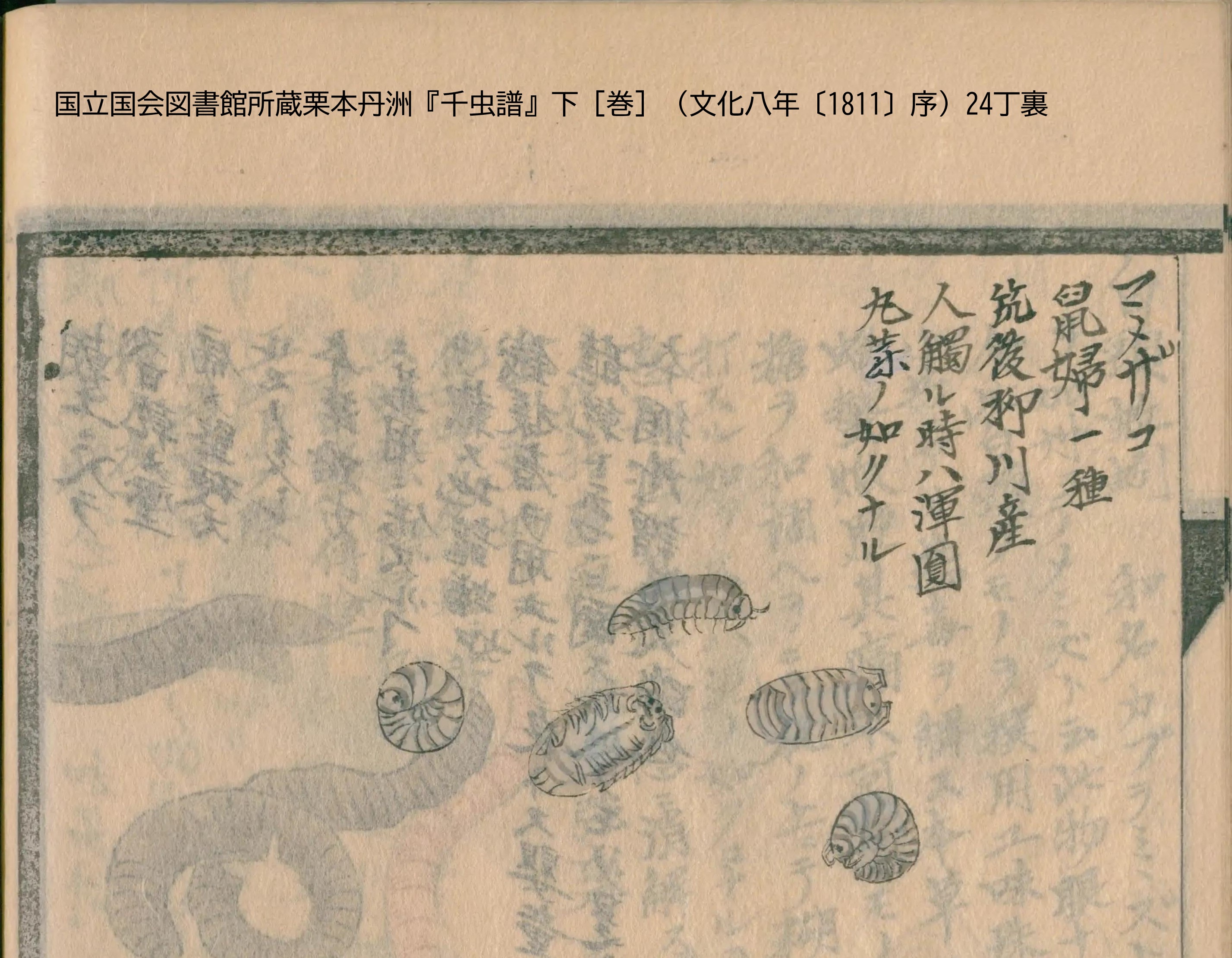 寄り道のすすめ 大渕貴之